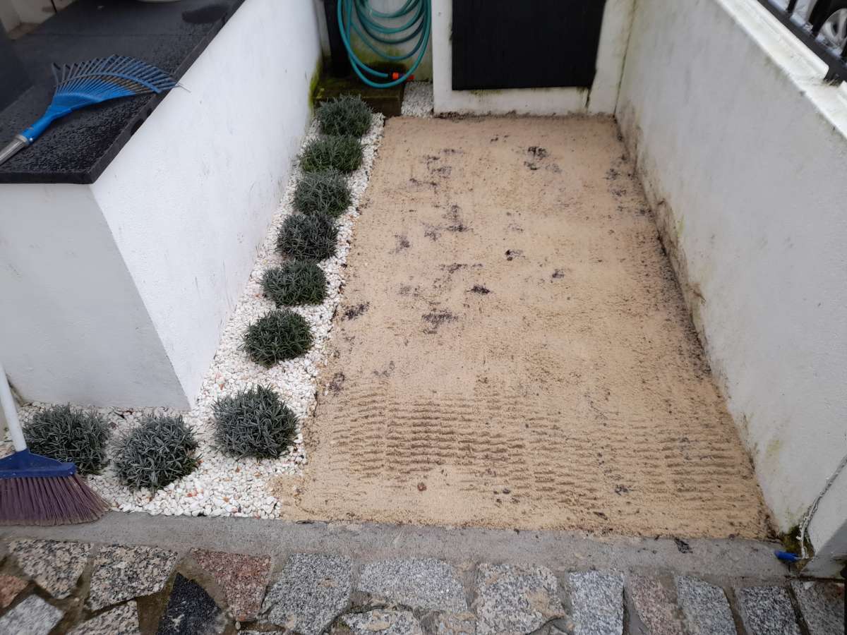 RicSilva Construção e manutenção de jardins - Gondomar - Shrub Removal