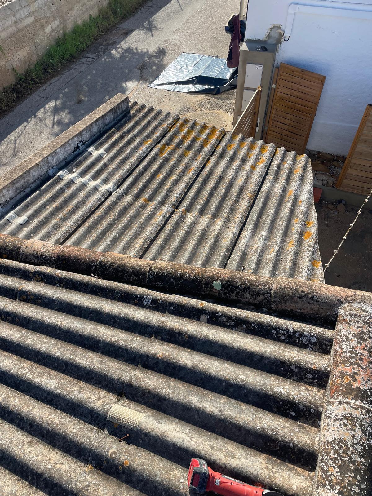 Almada House - Construções - Olhão - Tree Trimming and Maintenance