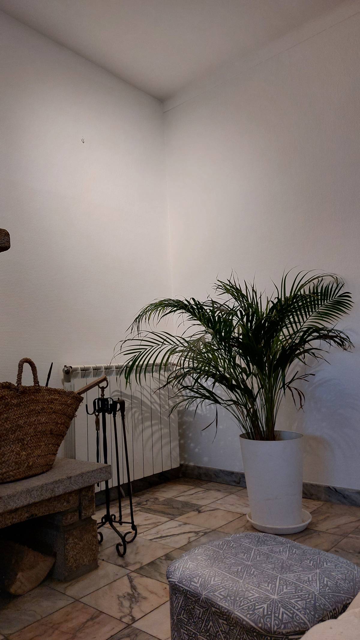 Pintor de Casas - Casa