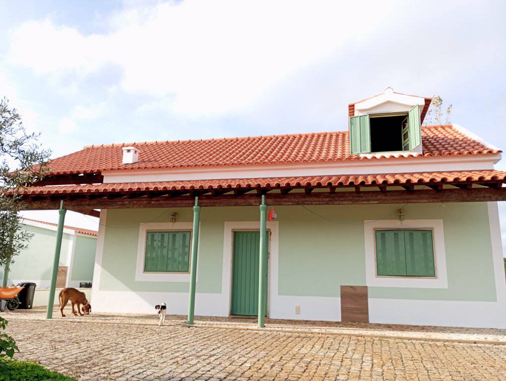 José Pedro - Pintor de construção civil - Castelo Branco - Reparação de Cortinas