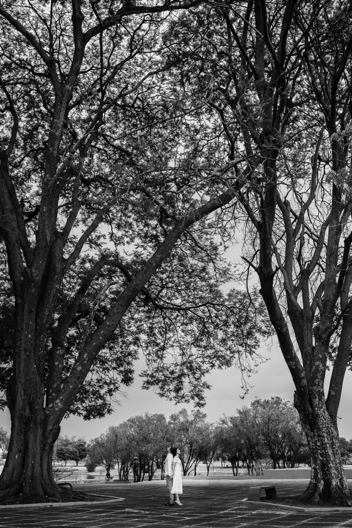 Daniel Martins - Porto - Aulas de Fotografia