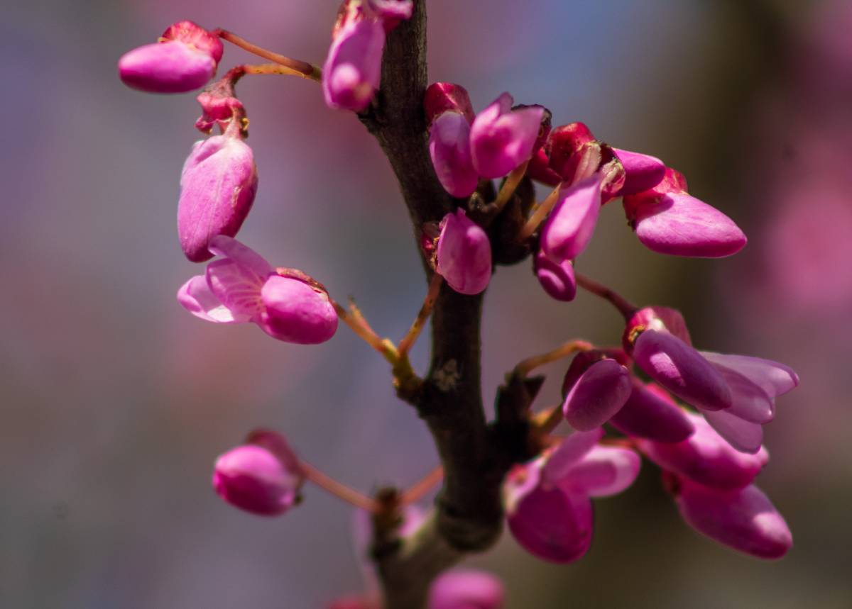 Vanda Estriga - Moita - Real Estate Services