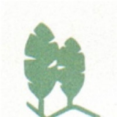 Hosiplante - Projecto, Execução e Manutenção de Espaços Verdes, Lda - Lisboa - Maison