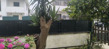 Processamento de Ferro e Aço