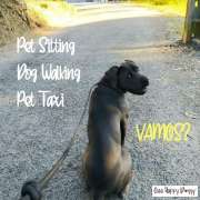 Marta Silva - Vila Nova de Gaia - Baths and Grooming for Animals