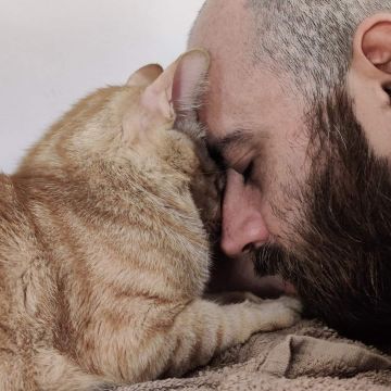 Oneeyepet sitting - Almada - Cat Sitting