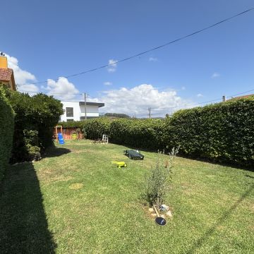 Ruben - Odivelas - Élagage et entretien des arbres
