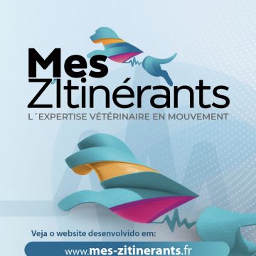 Helena Matos - Sintra - Grafikdesign