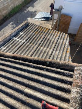 Almada House - Construções - Olhão - Tree Trimming and Maintenance