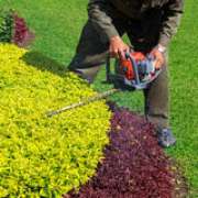 RicSilva Construção e manutenção de jardins - Gondomar - Outdoor Landscaping