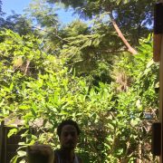 Jenaro idiarte - Peniche - Cat Sitting