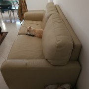 Upholstery Service