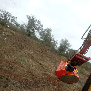 JMSG limpeza de terrenos - Odemira - Baumstumpf oder -wurzel wegfräsen und entfernen