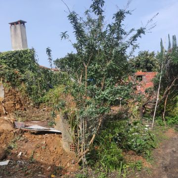 Ricardo pinto - Figueira da Foz - Construção de Terraço