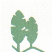 Hosiplante - Projecto, Execução e Manutenção de Espaços Verdes, Lda - Lisboa - Maison