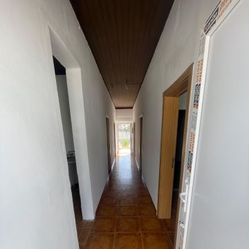 Construciones Ligeras - Elvas - Baumpflege