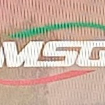 JMSG limpeza de terrenos - Odemira - Wasserpumpe installieren oder austauschen