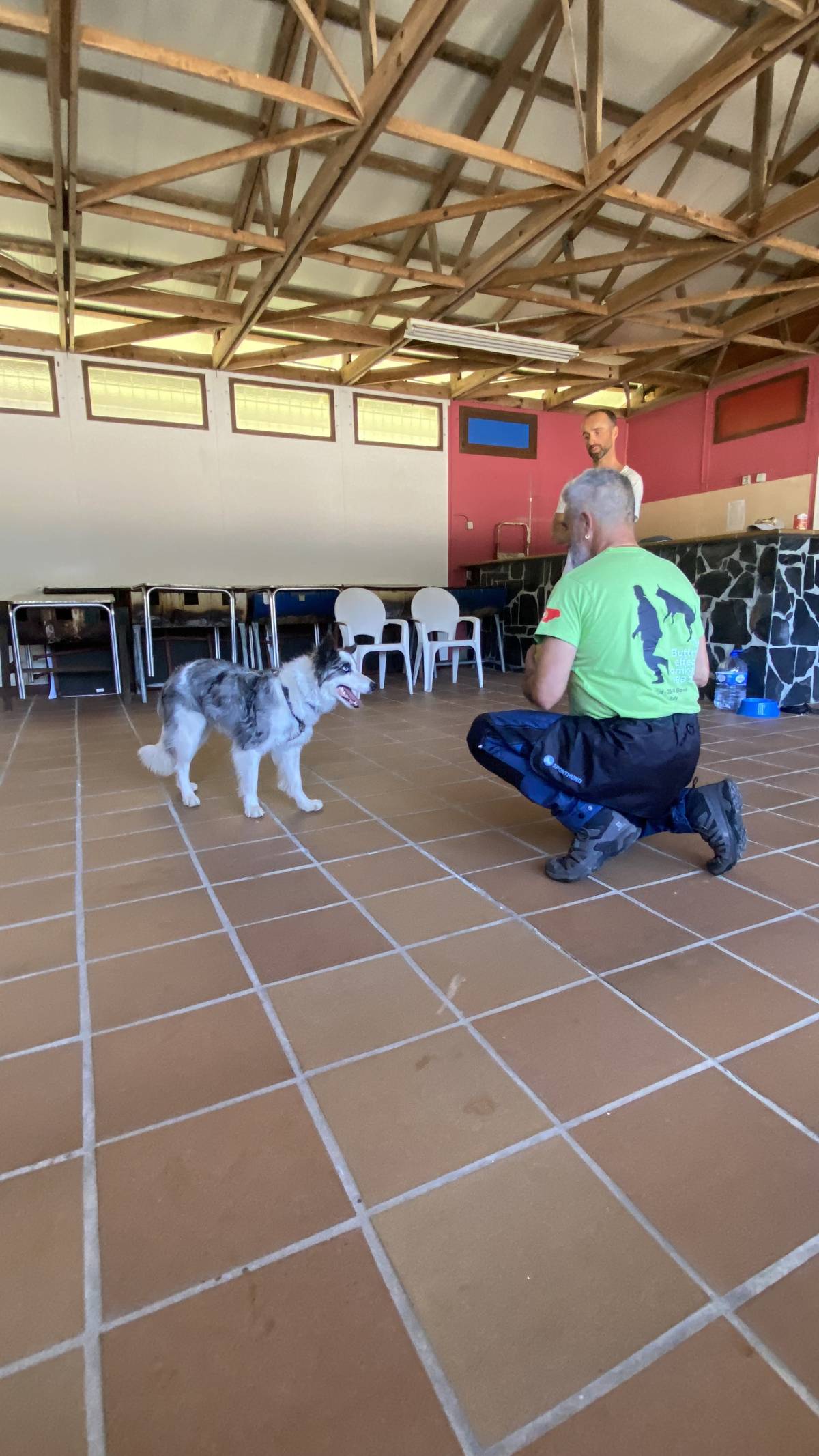 Luis treinador canino - Torres Novas - Pet Training