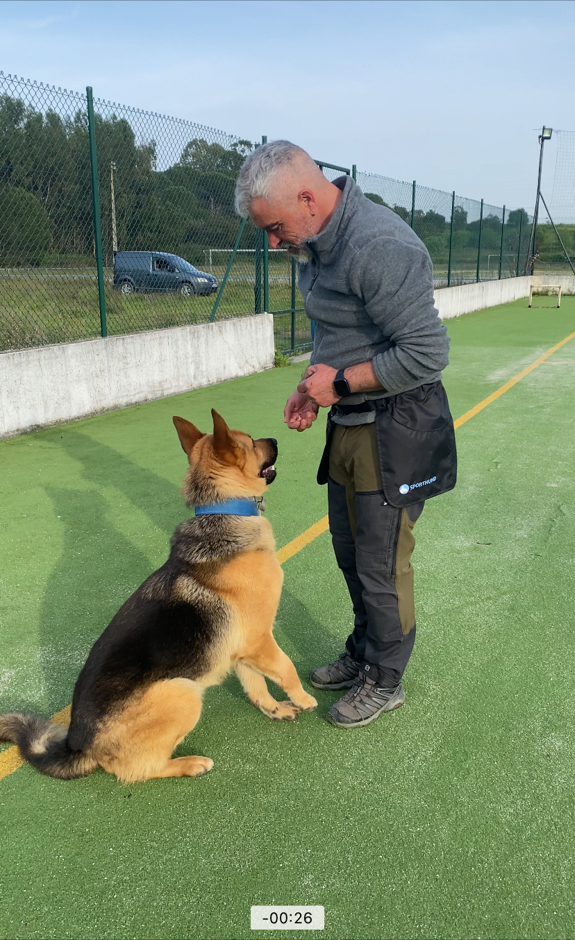 Luis treinador canino - Torres Novas - Dog Training - Private Lessons