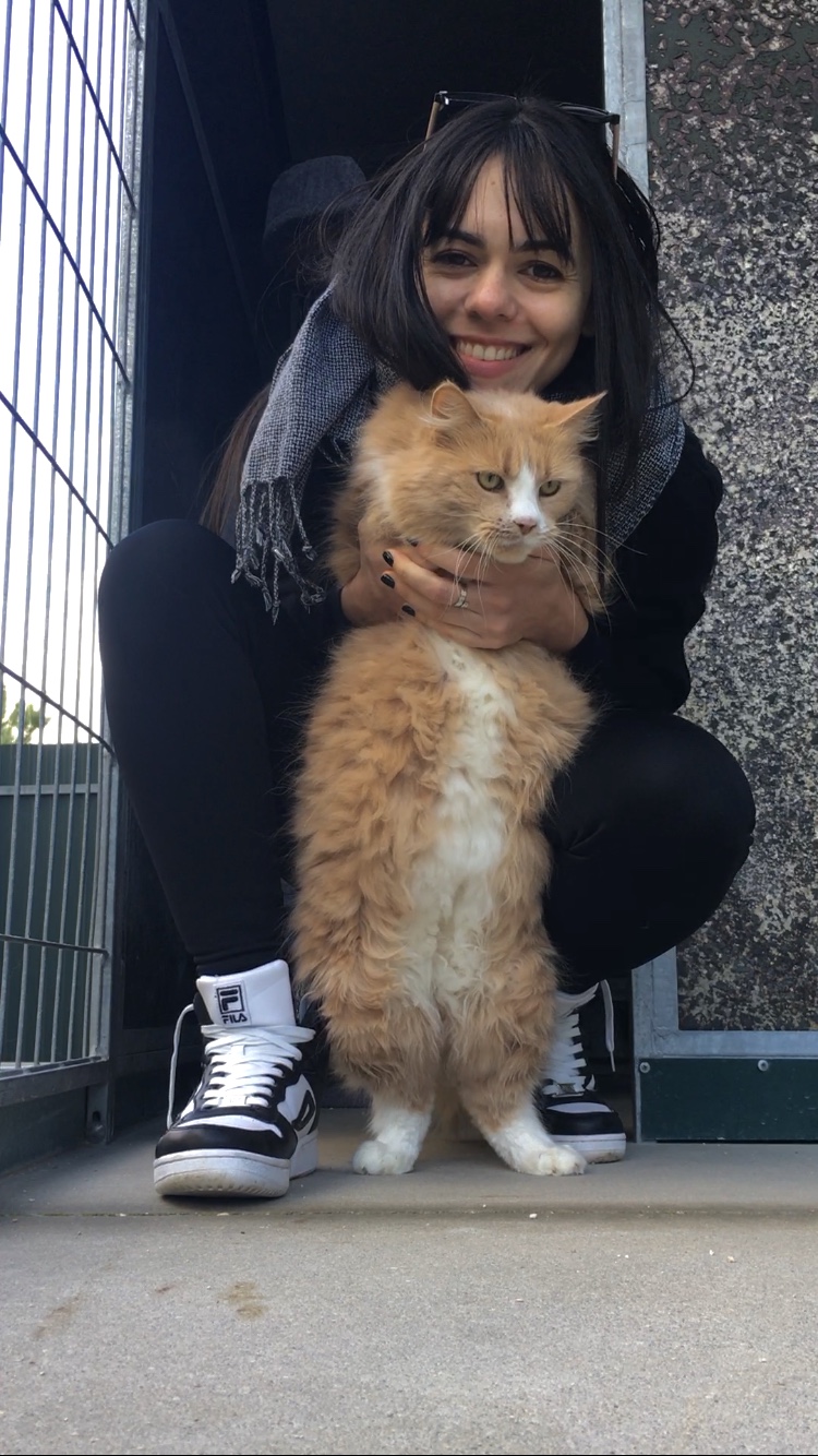 Beatriz Sobral - Figueira da Foz - Katzensitter