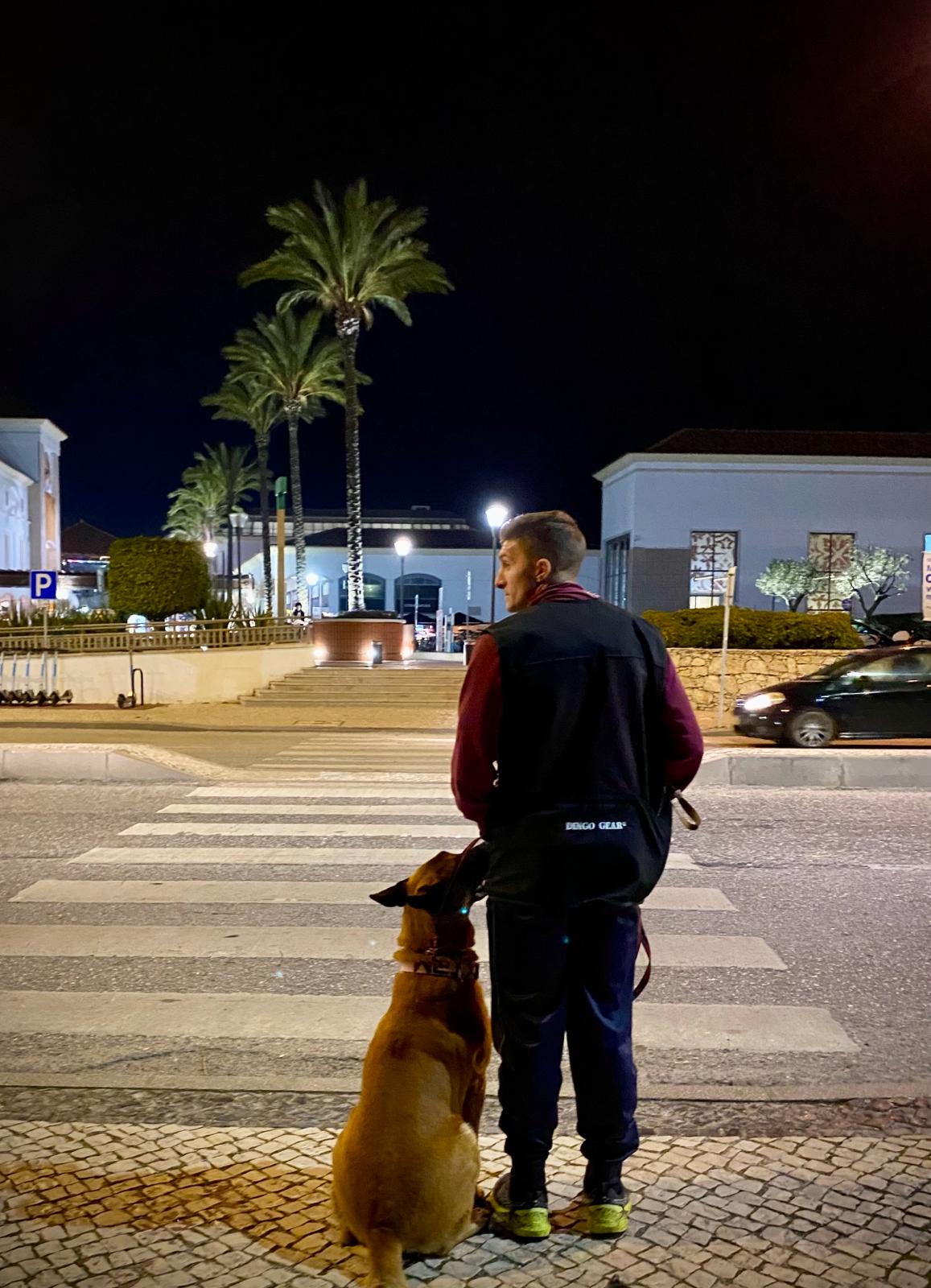 Vasco Carvalho - Olhão - Dog Walking