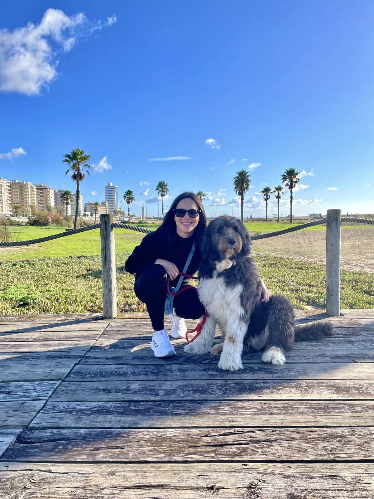 Beatriz Sobral - Figueira da Foz - Haustiere - Pflege