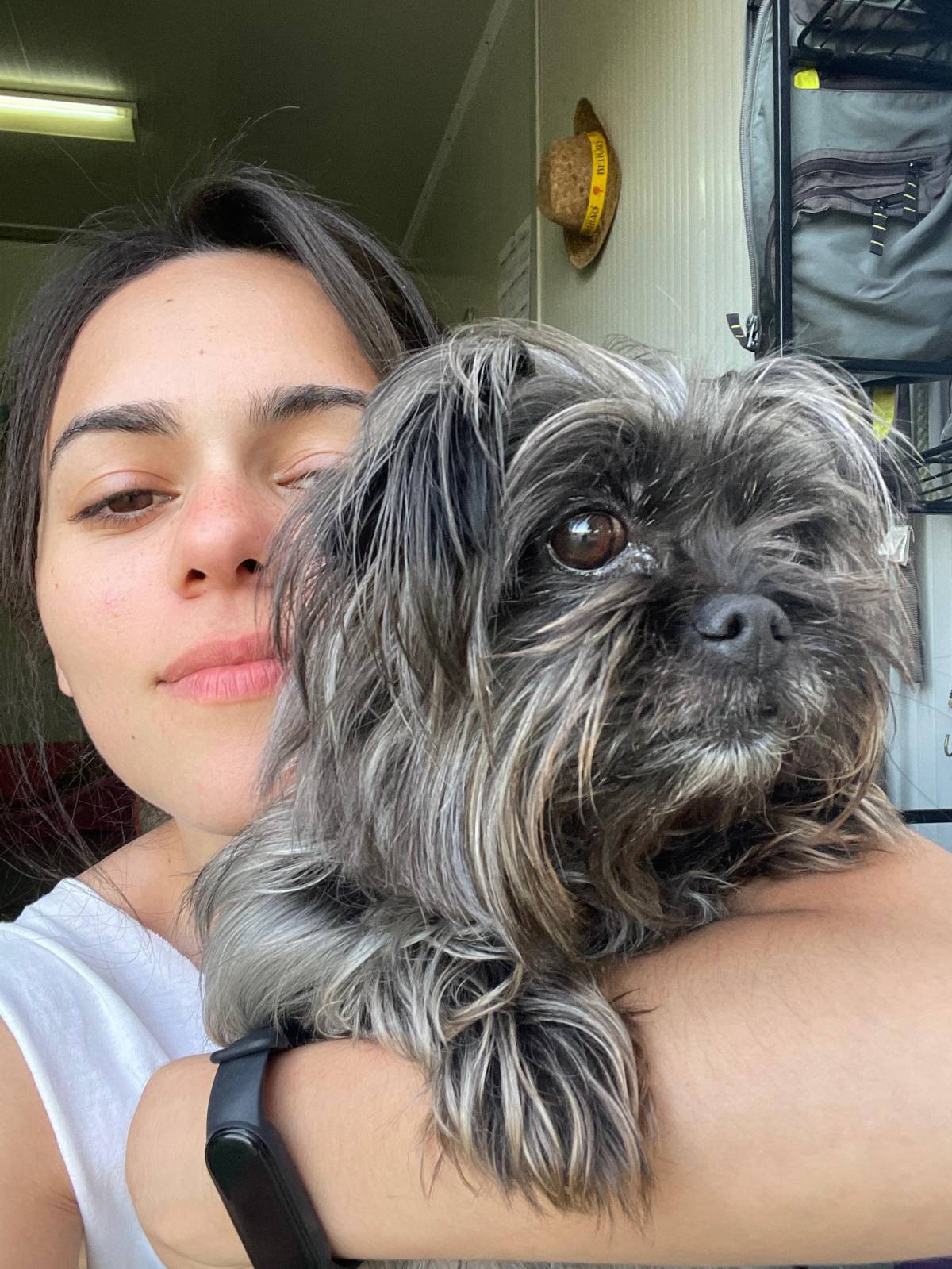 Beatriz Sobral - Figueira da Foz - Hundeausführung