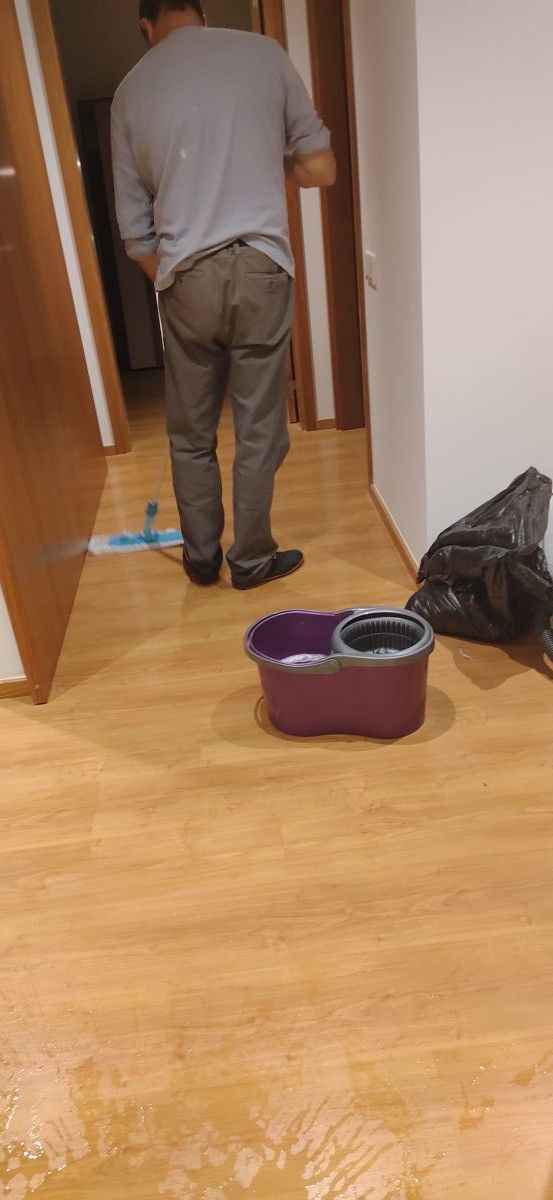 Sonia Ribeiro - Maia - House Cleaning (Recurring)