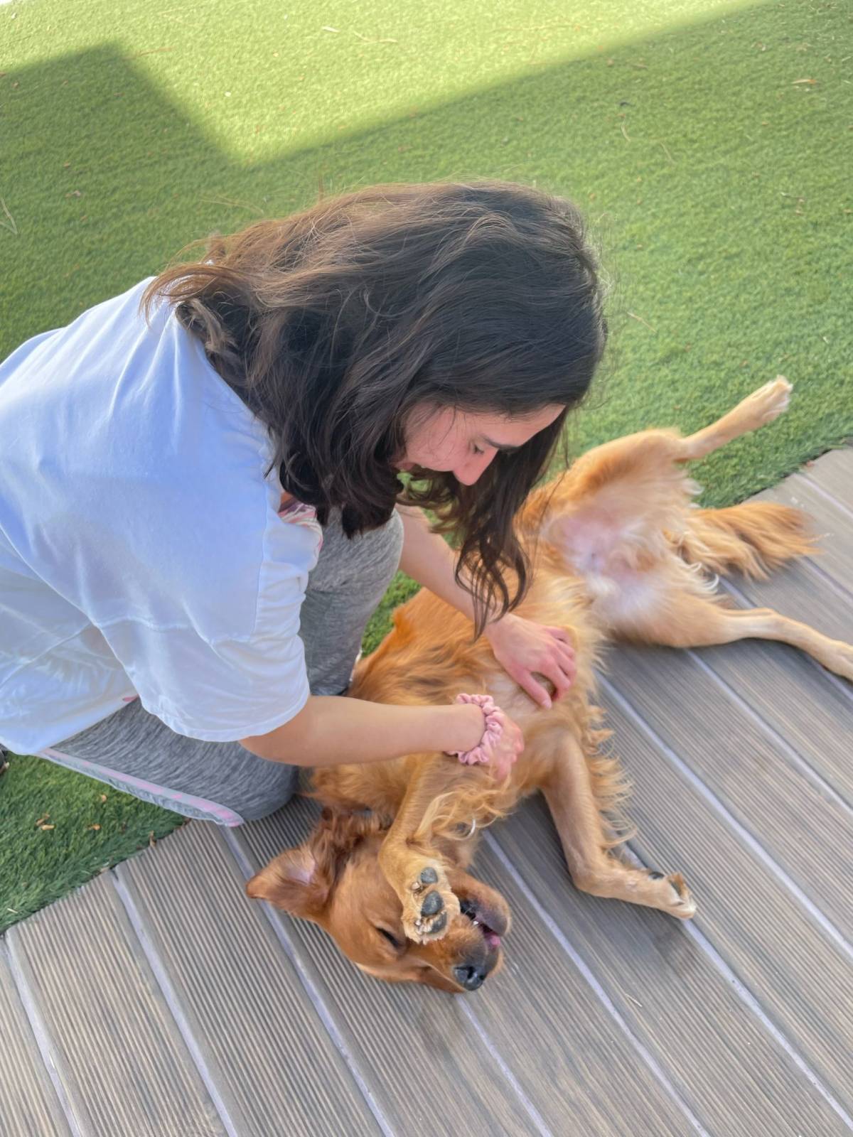 Jéssica - Almada - Dog Sitting