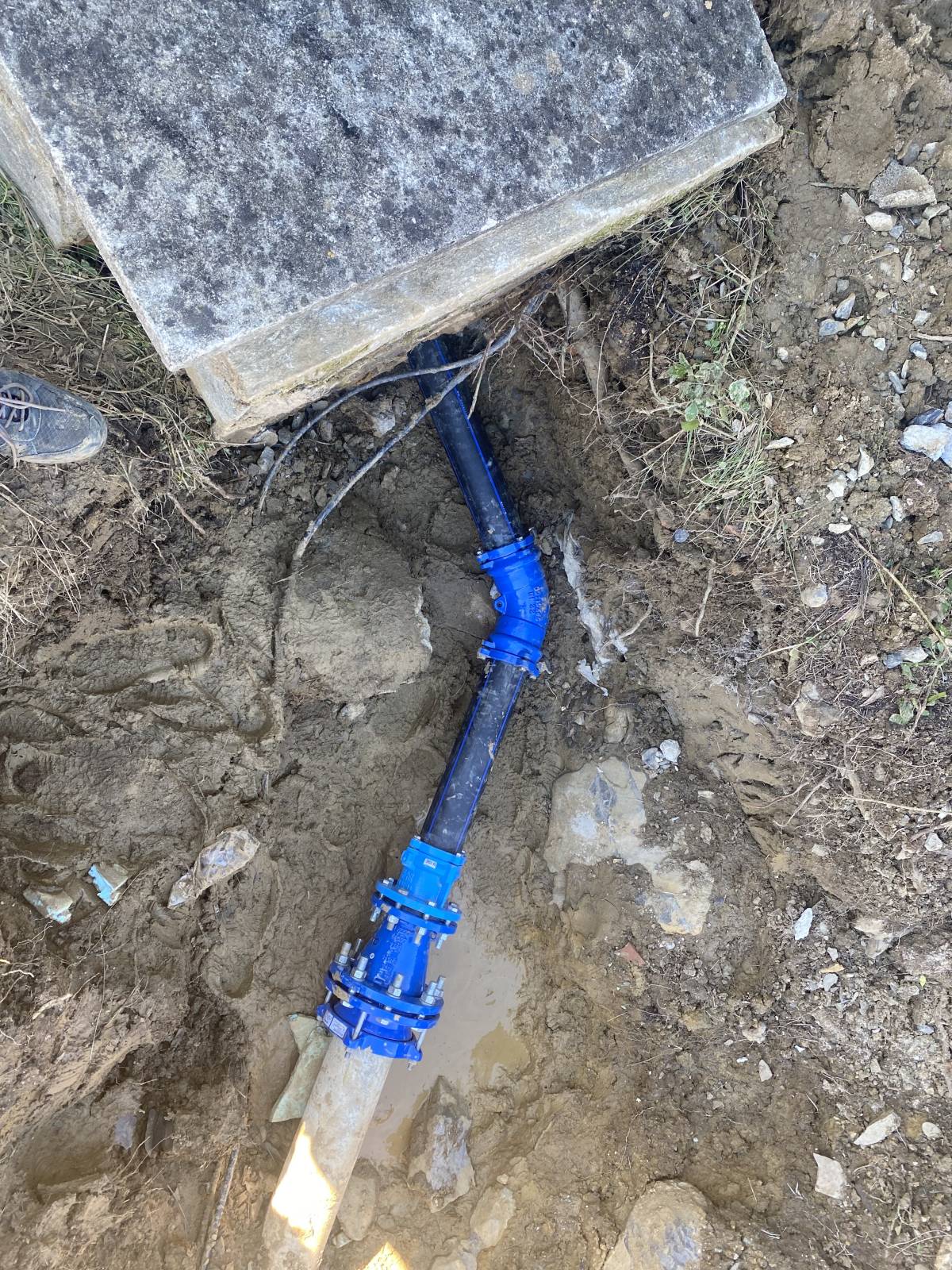 Aqua-Forte - Odivelas - Septic System Repair or Maintenance