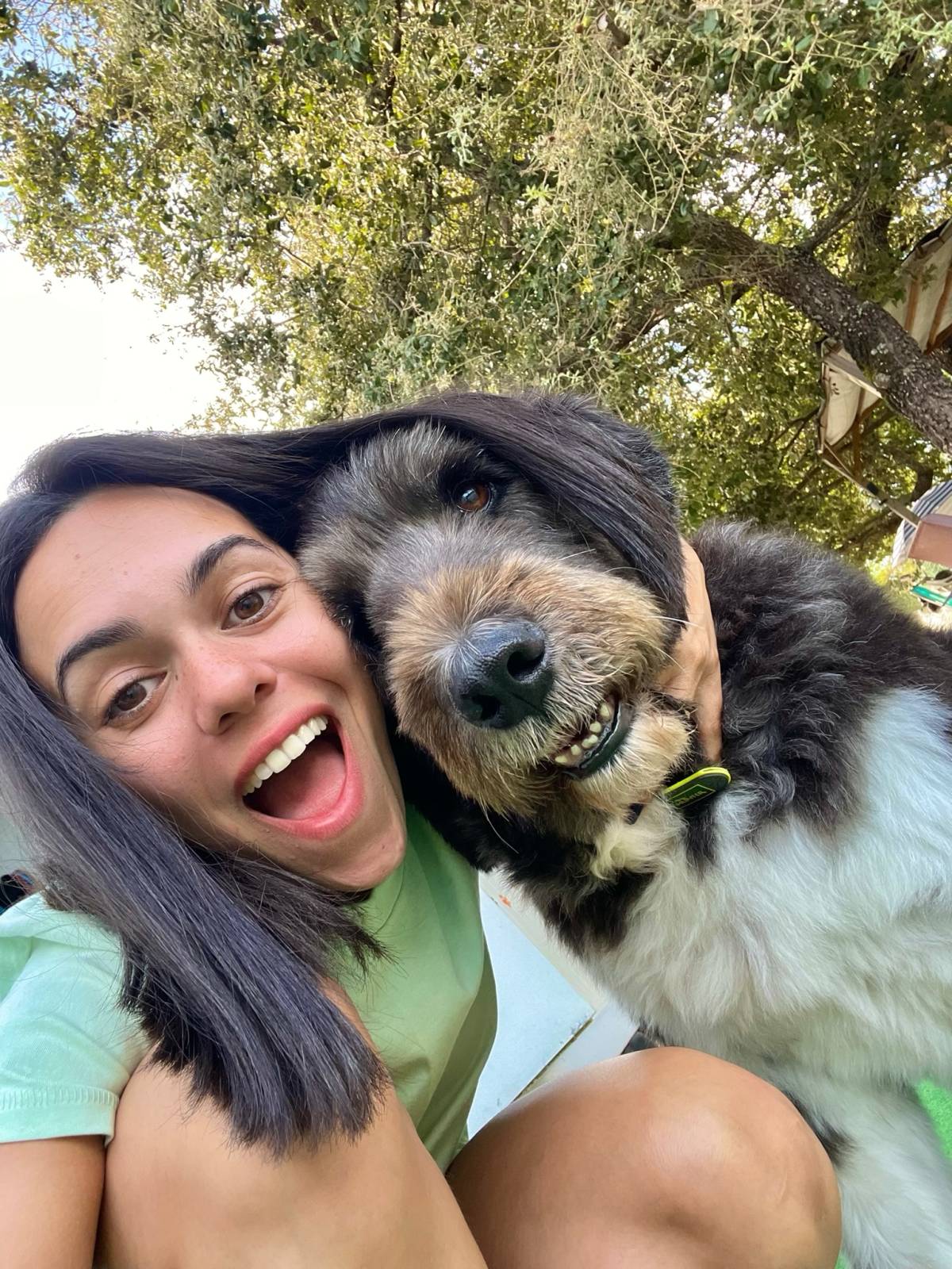 Beatriz Sobral - Figueira da Foz - Pet Sitting