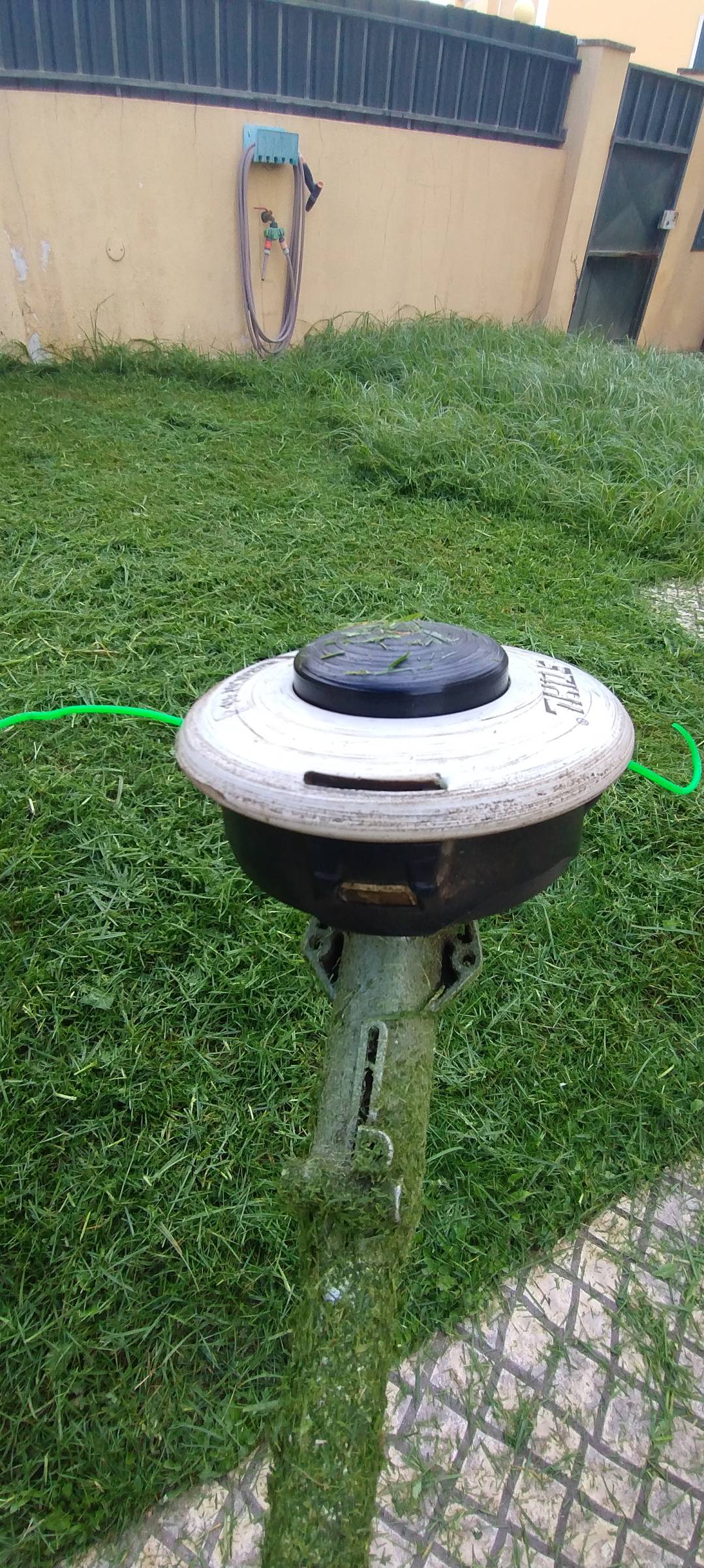 Eli Ricardo - Palmela - Multi Service Lawn Care