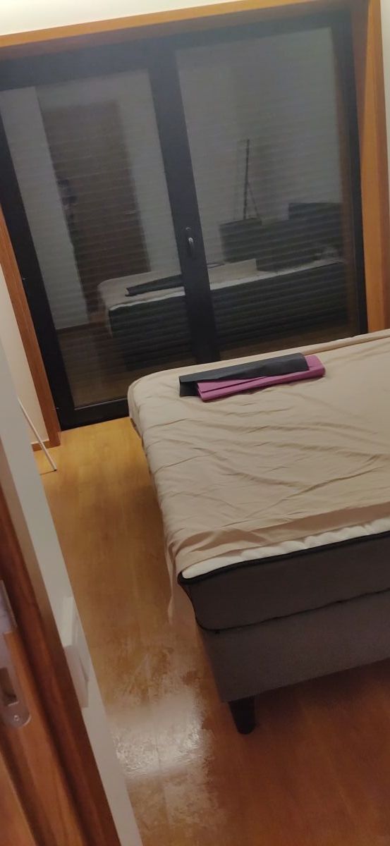 Sonia Ribeiro - Maia - Property Cleanup