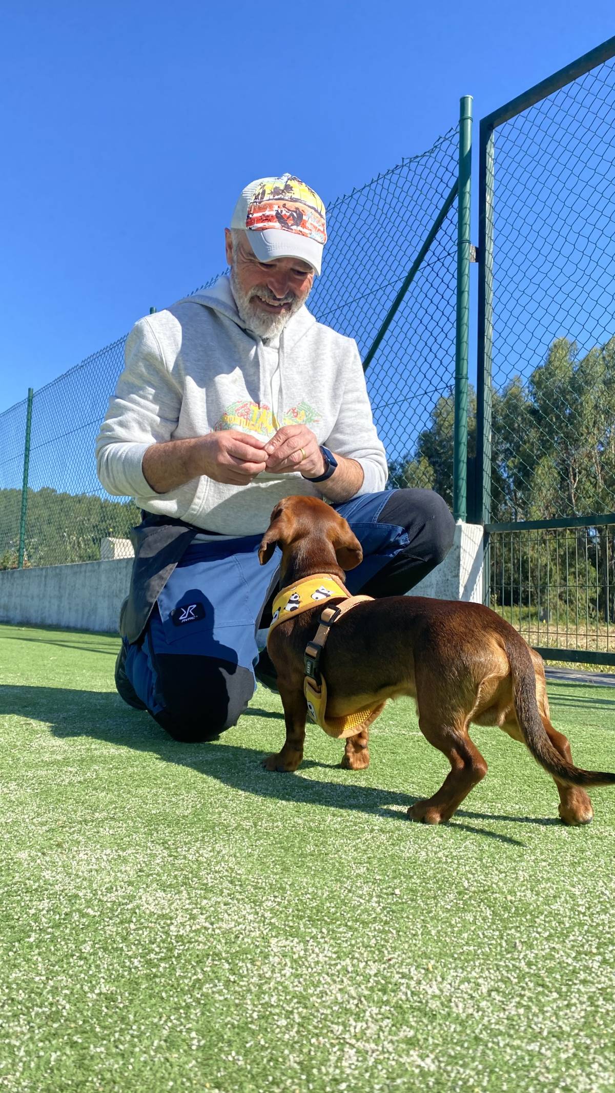 Luis treinador canino - Torres Novas - Pet Training
