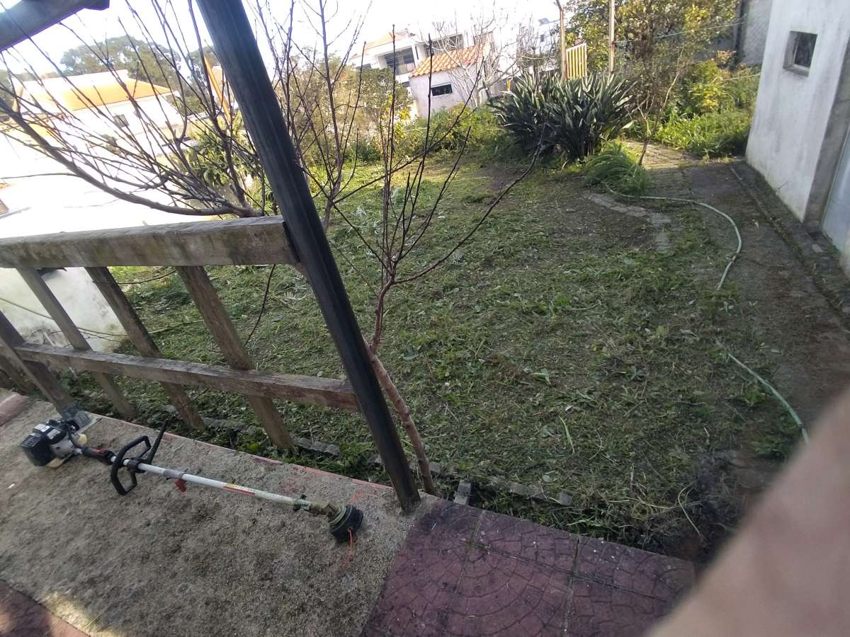 Ricardo Moura - Lisboa - Tree Stump Grinding and Removal