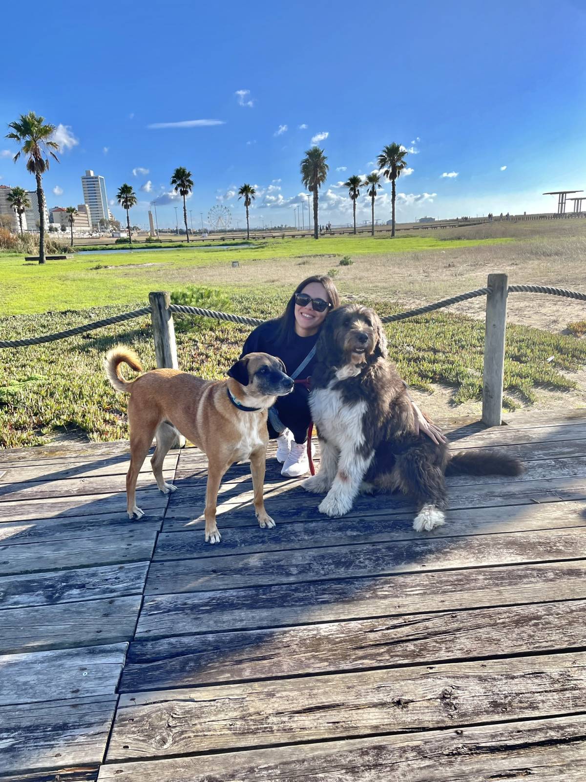 Beatriz Sobral - Figueira da Foz - Pet Sitting