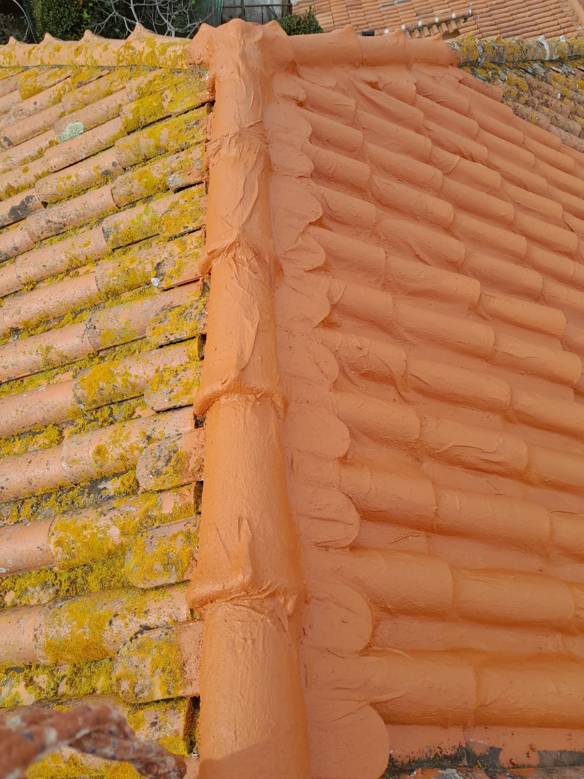 SF Serviços - Amadora - Roof Cleaning