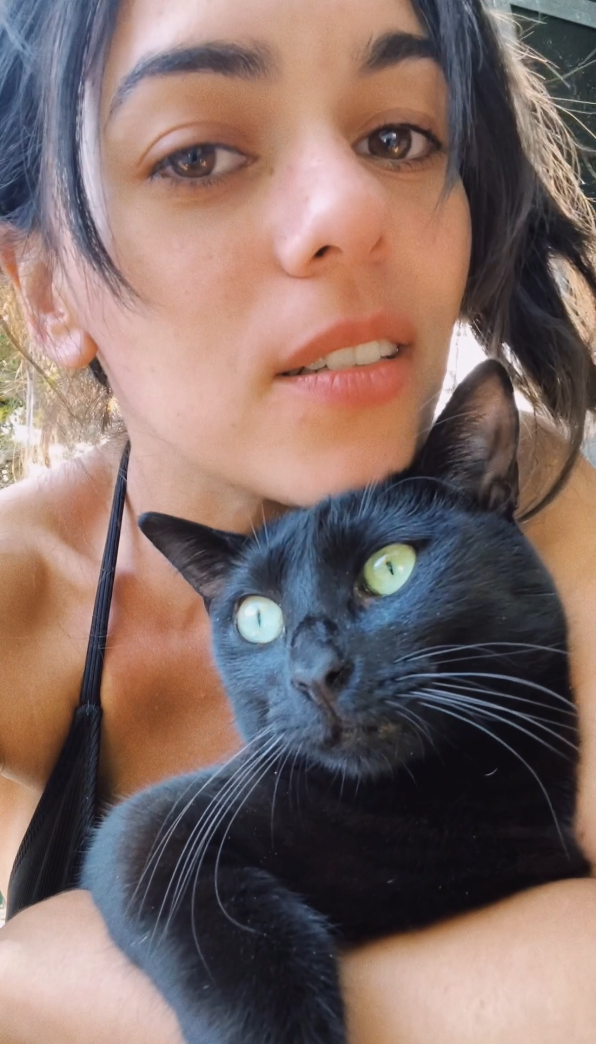 Beatriz Sobral - Figueira da Foz - Haustierpflege