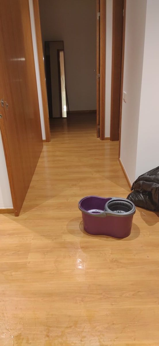Sonia Ribeiro - Maia - Upholstery and Furniture Cleaning