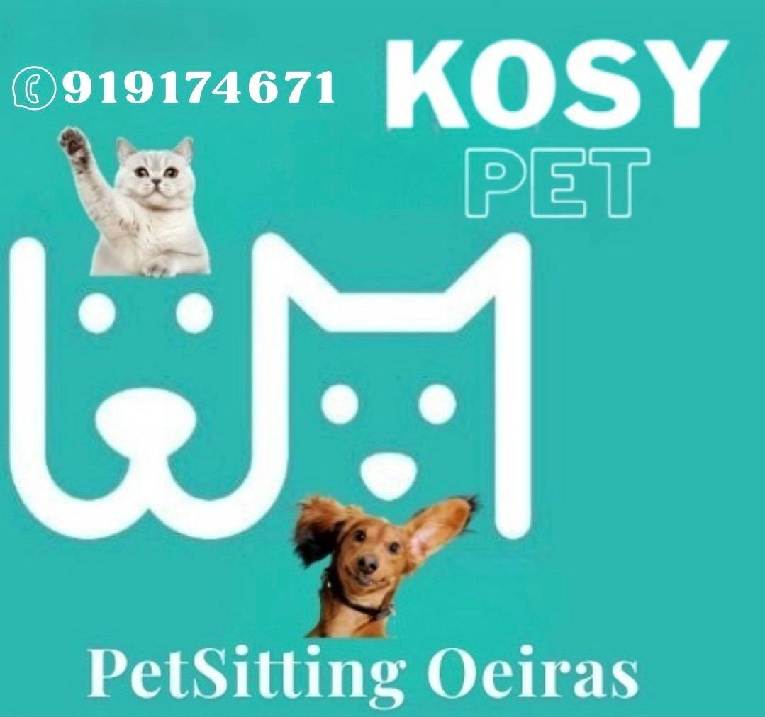 Liliana Velez - Oeiras - Servicios de presentación