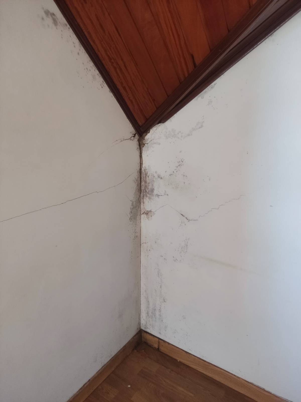 Ecopolish - Monção - Pintura de exteriores