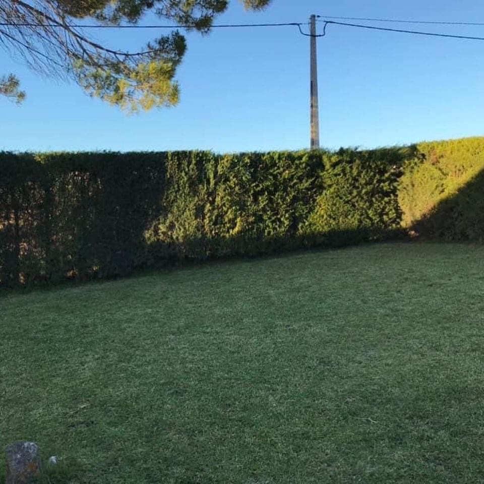 SIMPLE GREEN - Santarém - Greenhouse Services