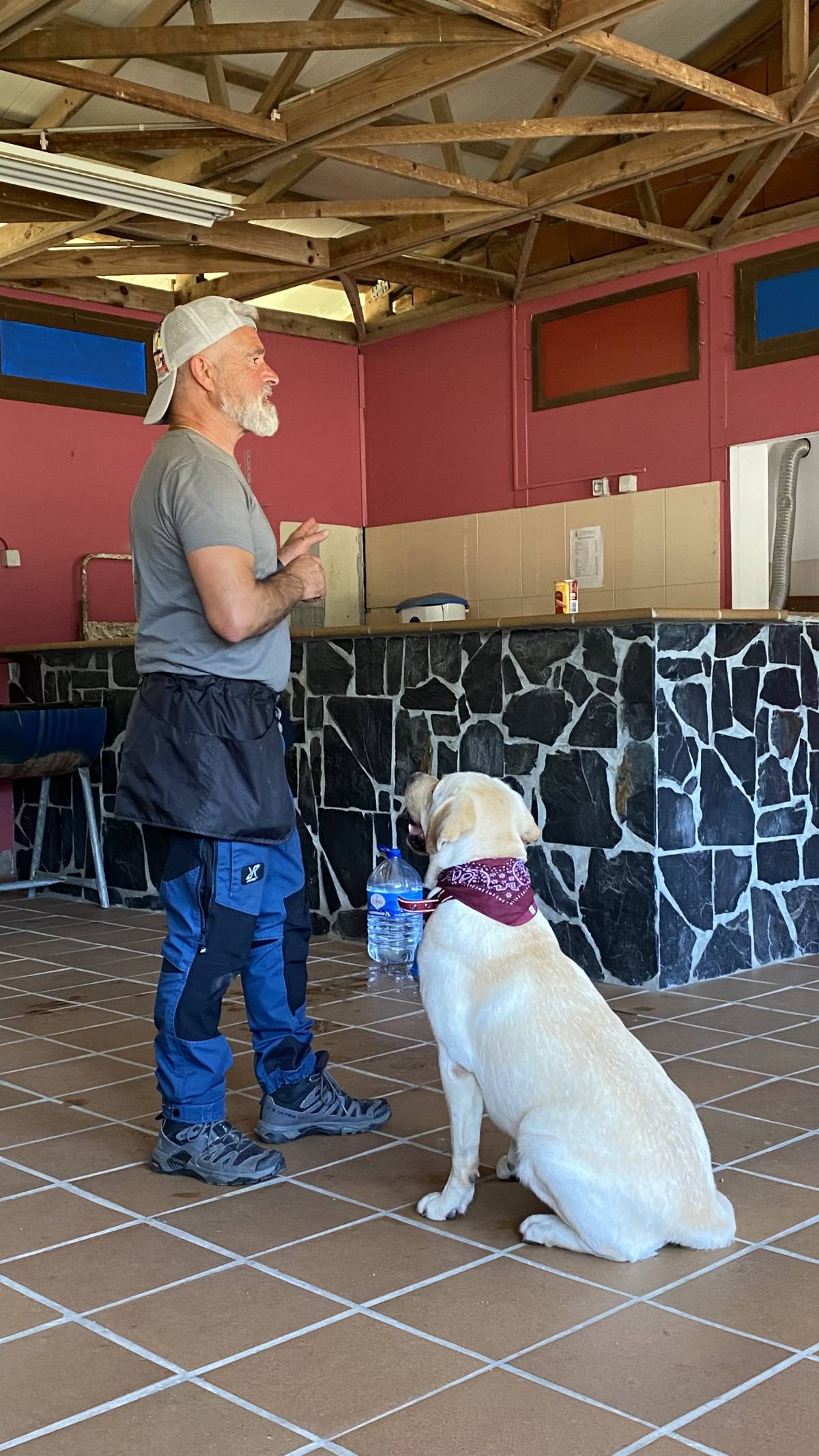 Luis treinador canino - Torres Novas - Animal Behavior Modification