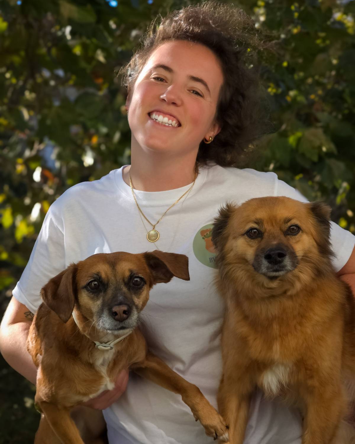 Matilde Pinto - Lisboa - Hundeausführung