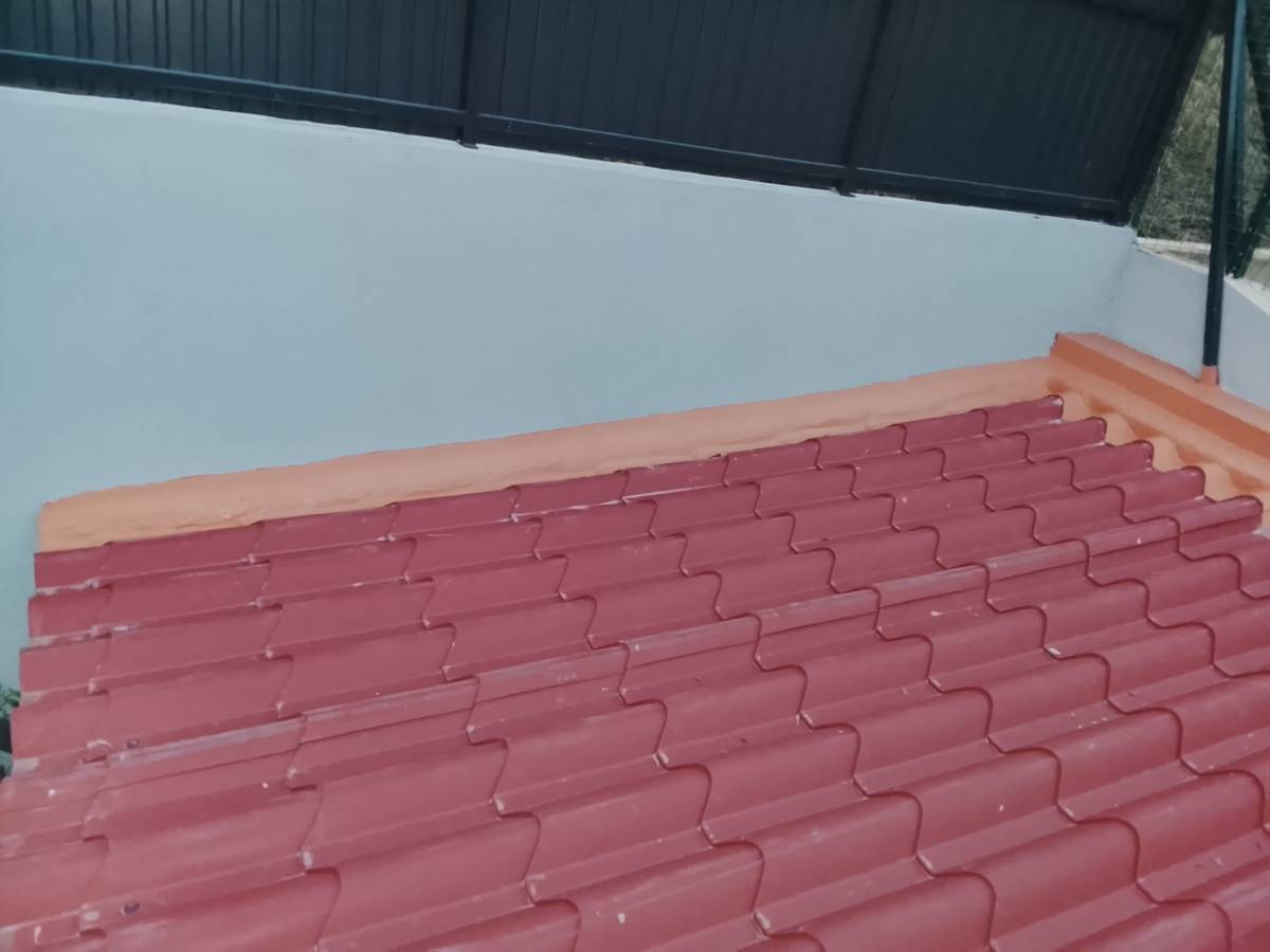 Paulo e Rute - Sintra - Roof Cleaning