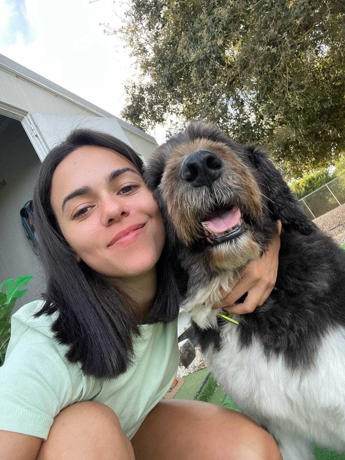 Beatriz Sobral - Figueira da Foz - Hundeausführung