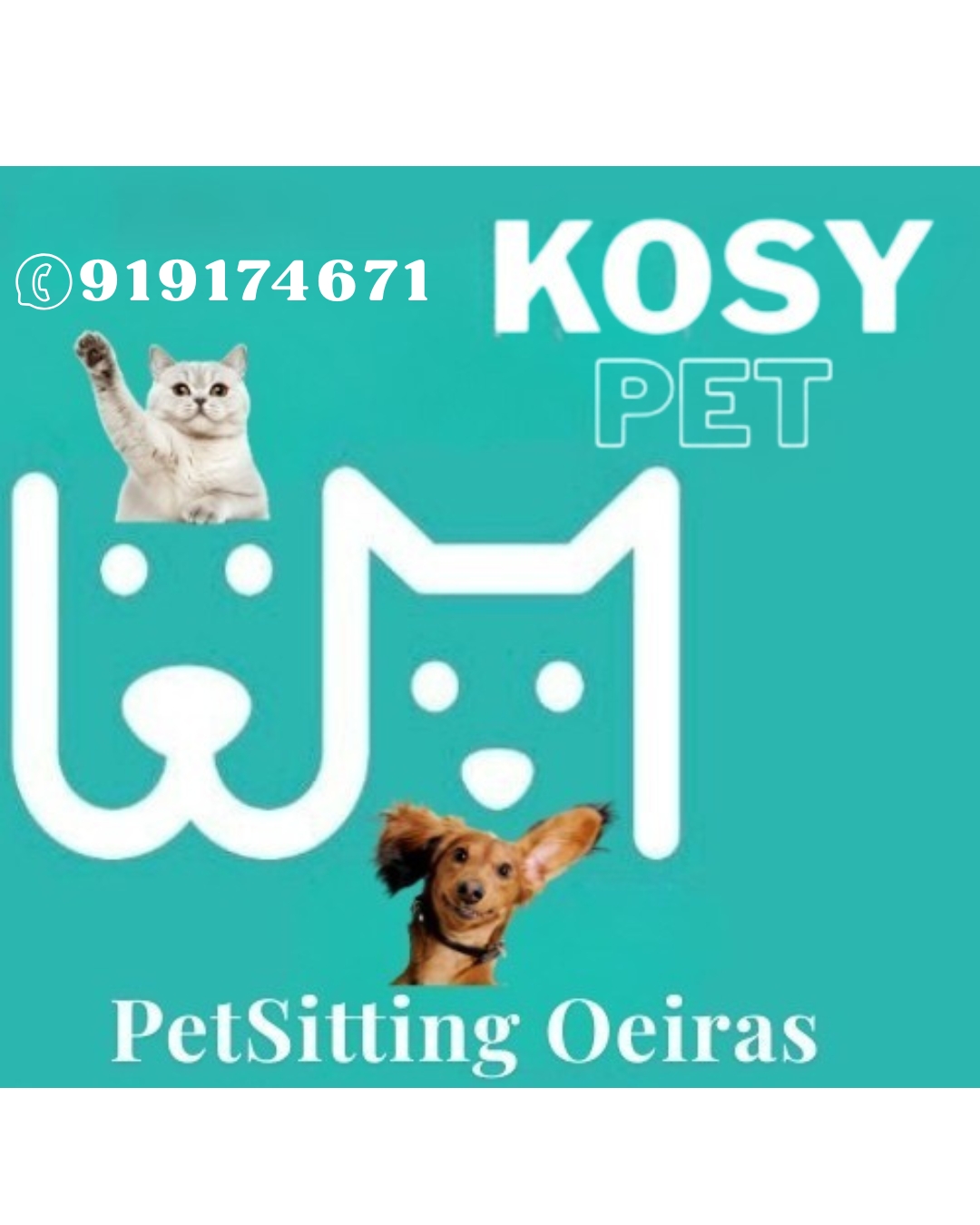 Liliana Velez - Oeiras - Marketing digital