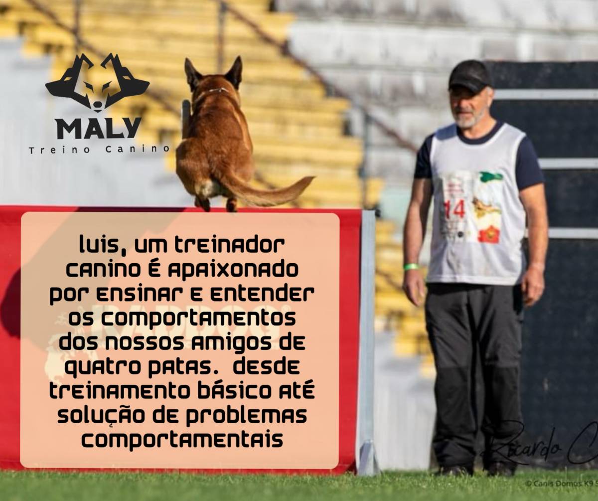 Luis treinador canino - Torres Novas - Treino de Cães - Aulas