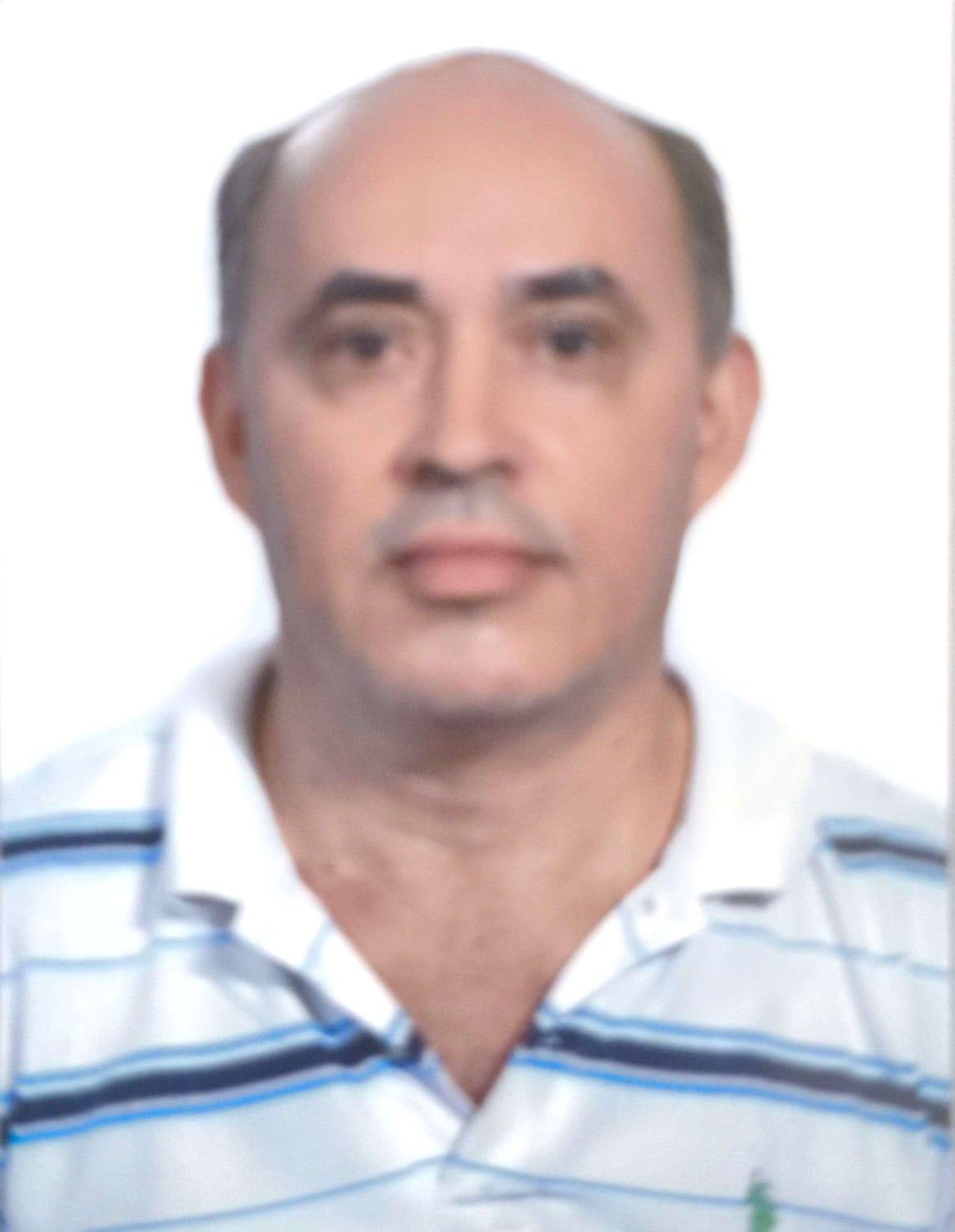 Álvaro Tomás Faria - Funchal - Poda e Manutenção de Árvores