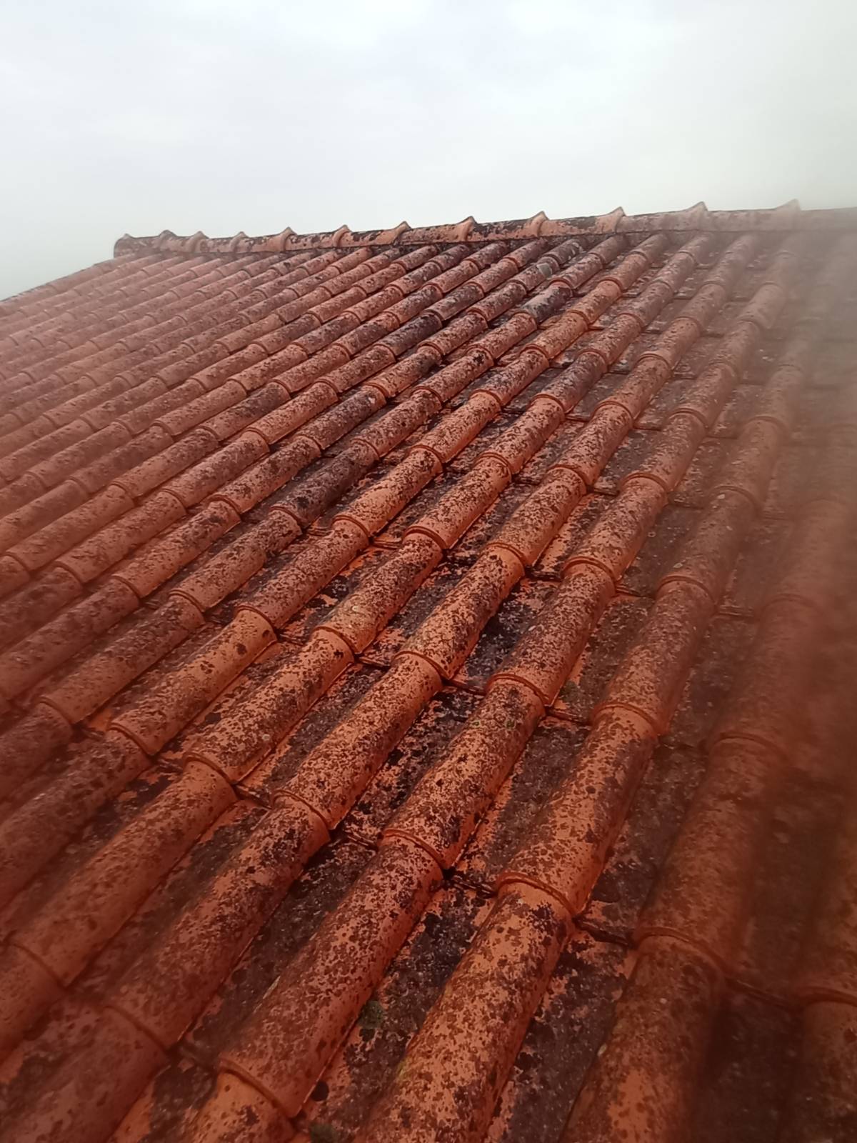 João lopes - Torres Vedras - Construction de mur intérieur
